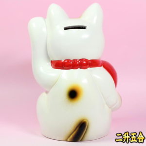胡蝶蘭以外の新装開店祝い：裏側